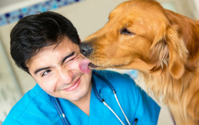 dog_kissing_male_nurse_pet_therapy