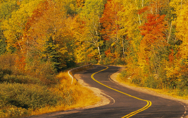 fall_road_through_trees