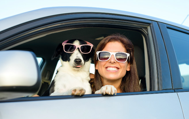 woman_dog_car_sunglasses_on