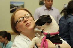 Heather Matthew, MSN, RN, enjoys an on-site visit with a shelter dog.